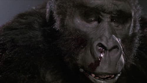 King Kong lebt Bild 7