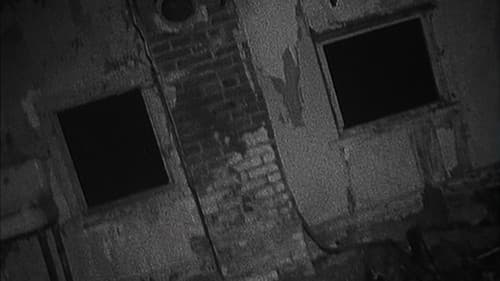 Shadow of the Blair Witch Bild 1