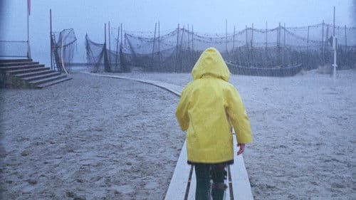 A Day at the Beach Bild 4