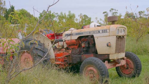 Where the Light Fades Bild 7