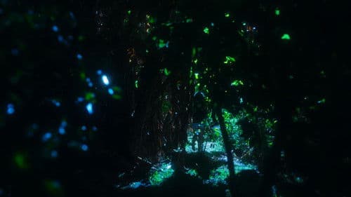 Lo Chan Lo Bassin Bild 1