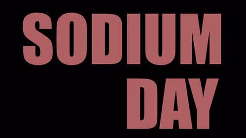 Sodium Day Bild 2