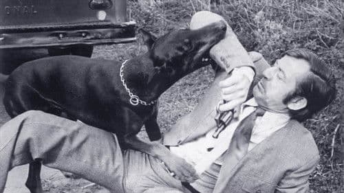 Die tolldreisten Dobermänner Bild 1