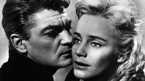 Weiße Nächte Bild 7