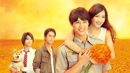 4分間のマリーゴールド Bild 1