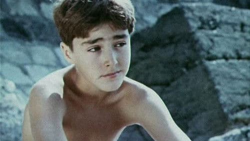 დღესასწაული დღესასწაულის მოლოდინში Bild 1