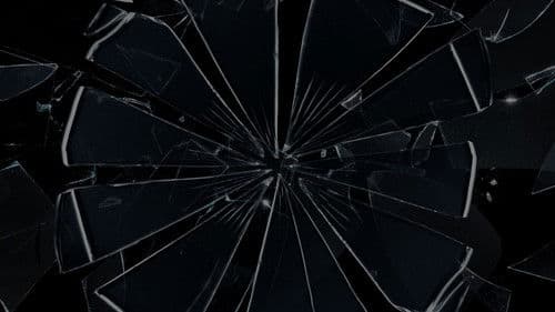 Werq The World Live Stream Bild 4