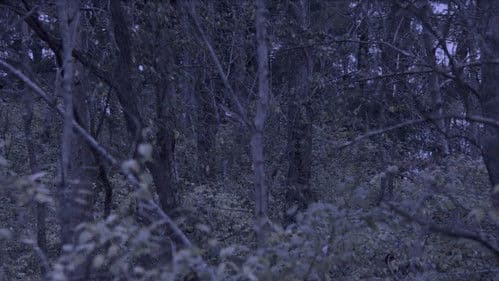 Sometime, Somewhere, in Bellwood Bild 1