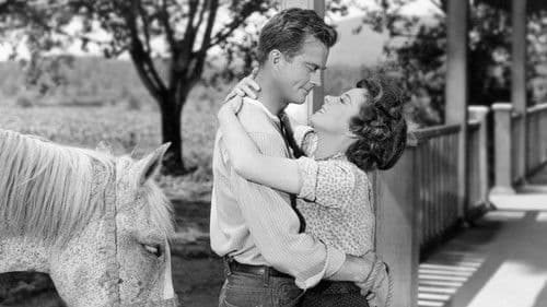 I'd Climb the Highest Mountain Bild 4