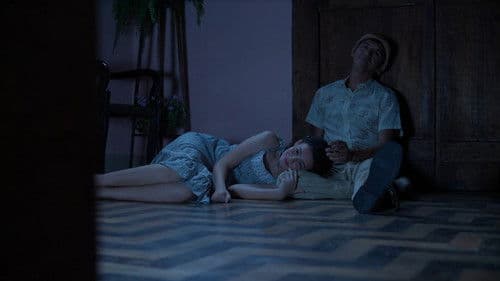 Revolução da TV Bild 6