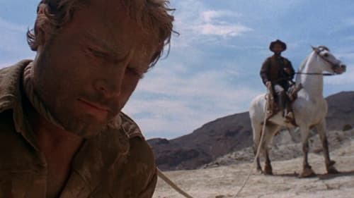 Gott vergibt - Django nie! Bild 5