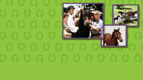 Justin Morgan Had a Horse Bild 4