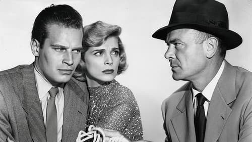 Stadt im Dunkel Bild 4