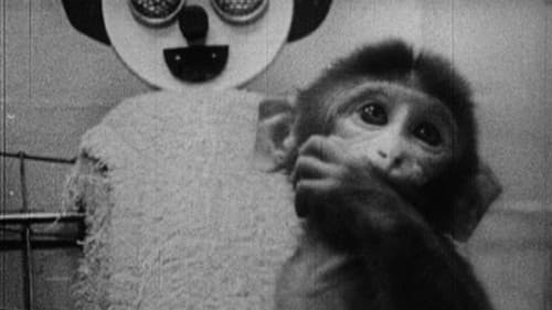 Star Spangled to Death Bild 1