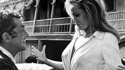 Vier für Texas Bild 2