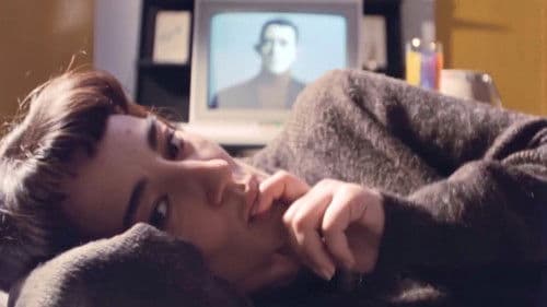 Animia de cariño Bild 1