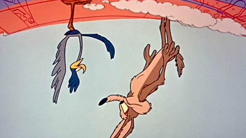 Zoom at the Top Bild 1