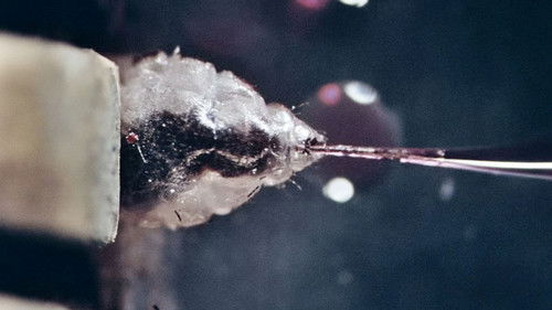 Ein Drittel der Nacht Bild 6