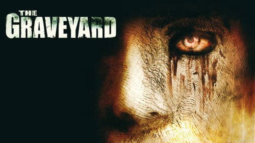 The Graveyard Bild 3