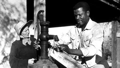 Lilien auf dem Felde Bild 3