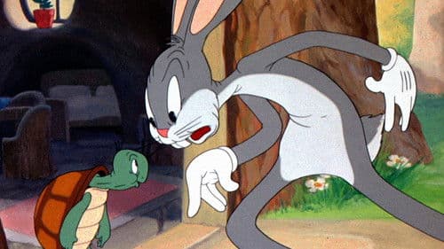 Schildkröte besiegt Hase Bild 2