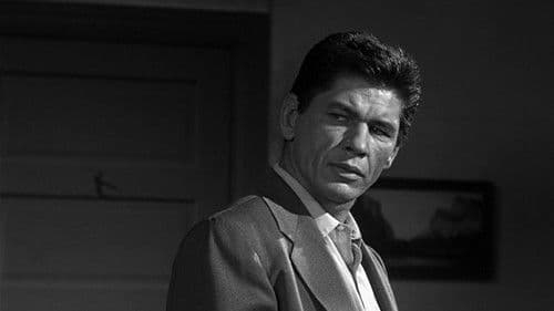 Revolver-Kelly Bild 5