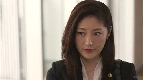 グッドワイフ Bild 3