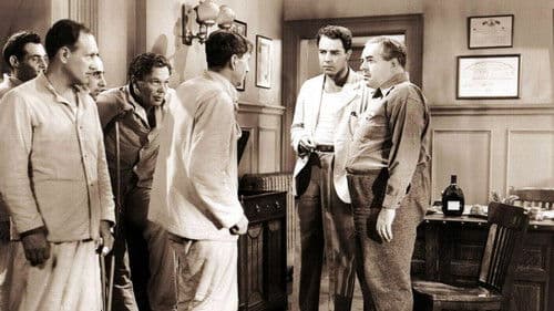 Those High Grey Walls Bild 1