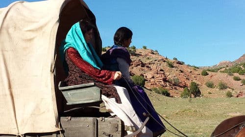 The Miller Prediction Bild 4