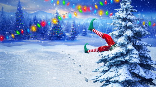 Big Brother Reindeer Games Bild 2