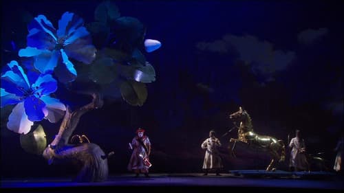 Die Frau ohne Schatten Bild 2