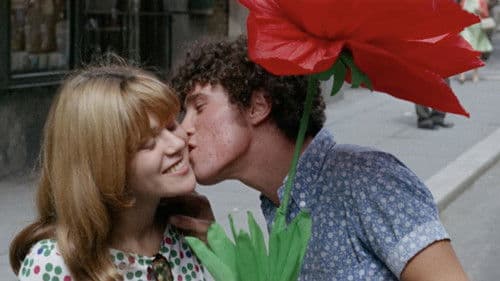 La sequenza del fiore di carta Bild 1