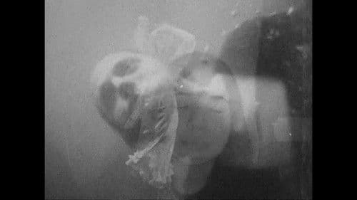 Tetralogía de las Alucinaciones Bild 1