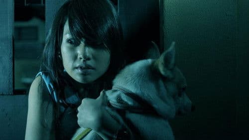 The Child's Eye Bild 1