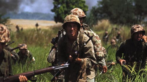 Blutiger Strand Bild 3