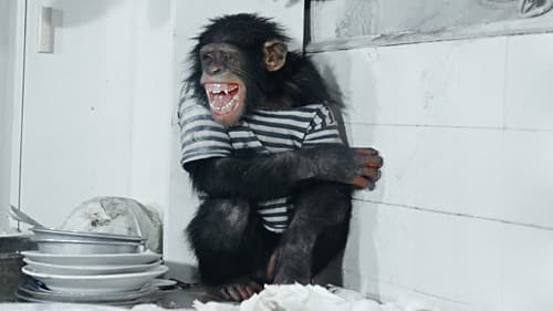 Rette sich wer kann! Bild 3