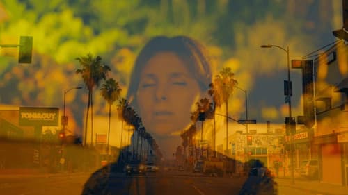 Traveling Light Bild 1