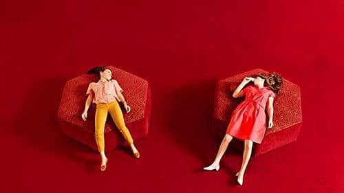 הרמוניה Bild 1