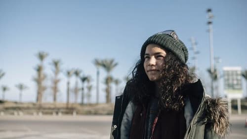 Kepler Sexto B Bild 2