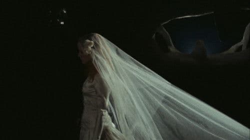 Un rêve plus long que la nuit Bild 7