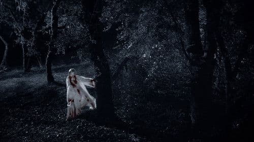 Twixt - Virginias Geheimnis Bild 5