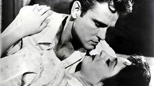 Hübscher Junge Floyd Bild 3