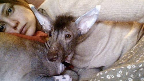 Я - Катя Голубева Bild 1