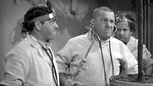 Some More of Samoa Bild 1