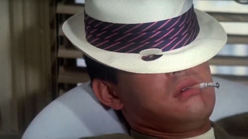 紅の流れ星 Bild 2