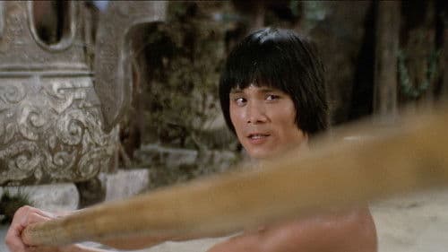 Das tödliche Erbe des Shaolin Bild 7