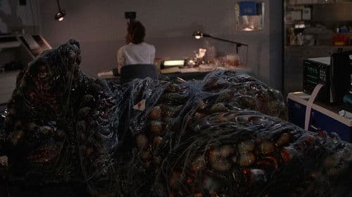 Die Fliege II Bild 8