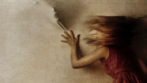 Apartment 1303 Bild 1