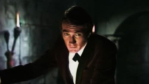 Strange Paradise Bild 1