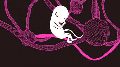 你的孩子不是你的孩子 Bild 7